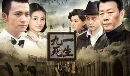 九死一生电视剧,逆境中的英雄传奇